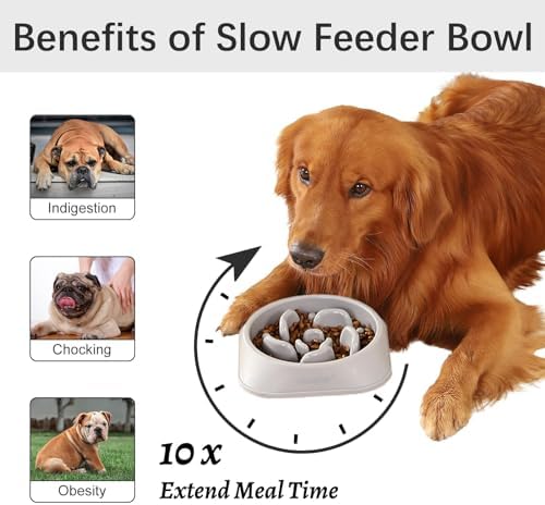 MateeyLife 1-Pack Slow Feeder Dog Bowls, 2 Cups, Dog Puzzle Feeder Bowl