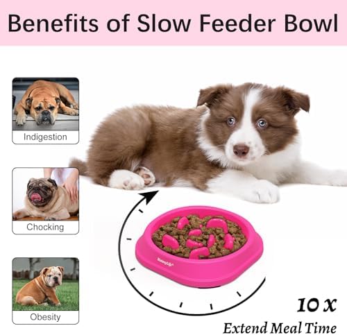 MateeyLife 1-Pack Slow Feeder Dog Bowls, 1 Cup, Dog Puzzle Feeder Bowl