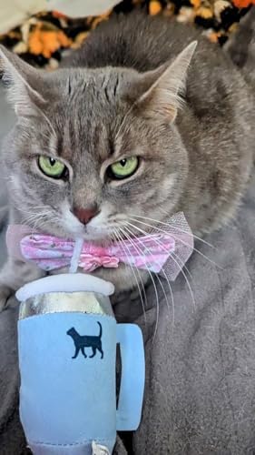 PUPROAR Kitty Cup Catnip Cat Toy, Cute Kitten Gift, Cat Birthday Toy with Crinkle for Indoor Cats (Chambray Blue)
