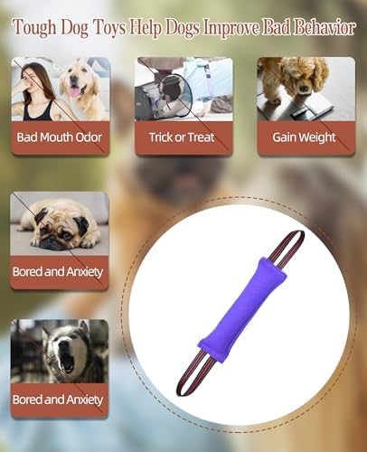 Clysoru Tug Toy for Dogs Tug of War Dog Toy with 2 Strong Red Band Handles Lasting Training Equipment Puppy to Large Dogs Interactive Toy Best for Tug of War Pull Indestructible Rope Toys (Purple)