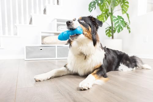 Chuckit! Bones Glow Treat Fish Puzzle Dog Toy, Large, Blue Glow‑in‑the‑Dark, Salmon‑Scented Fish‑Bone Shaped Chew & Treat Puzzle Toy for Dogs 60–100 lb – Fetch Toy with Interior Stuffing – Pack of 1