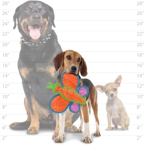 Tuffy® - DuraForce® : Butterfly Dog Toy: Ultra Durable Plush Toy with Multiple Layers & Reinforced Seams, Washable and Floats, DuraForce® Construction