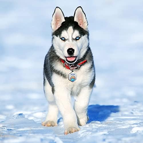 Custom Dog ID Tags, Personalized Pet ID Tags with QR Code, Free Online&Scan QR Receive Instant Location Alert Email
