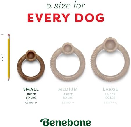 Benebone Ring Dog Chew Toy for Aggressive Chewers, Peppermint, Small