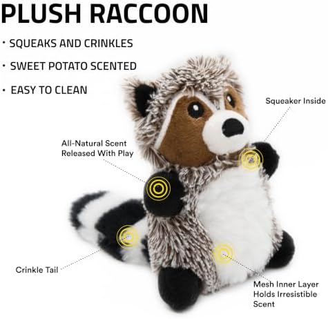 Playology Plush Raccoon Chew Toy for Small Dogs - Small, Sweet Potato Scent