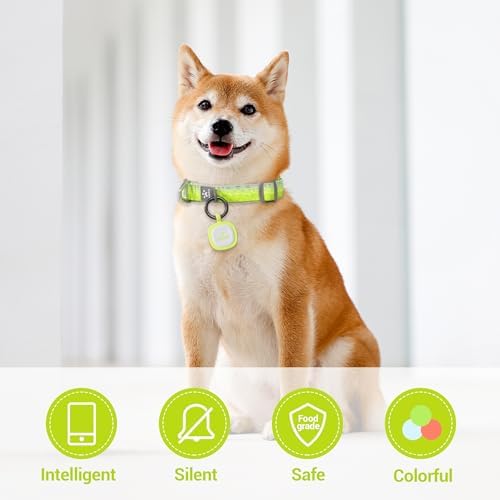 Pawaii Glow in The Dark Dog ID Tag, Silent Silicone, QR Scan Alerts, 1 Pack