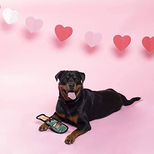 Fringe Studio Plush Dog Toy, Durable, Bubbly Love (729034)
