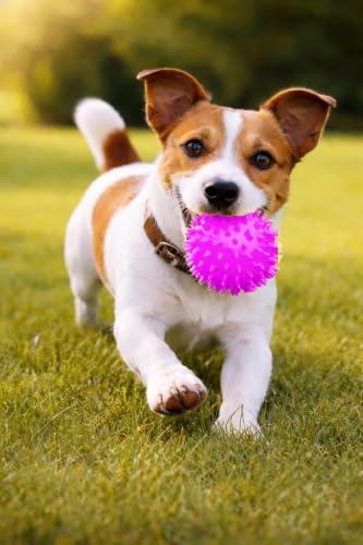 Squeaky Spiky Dog Balls for Teeth Cleaning & Gum Massage 2.5 Inch Small Medium Dogs Purple | Spiny TPR Rubber Chew Toys for Fetch Play Interactive Bouncy Dental Balls BPA Free Nontoxic Floats - 3 Pack