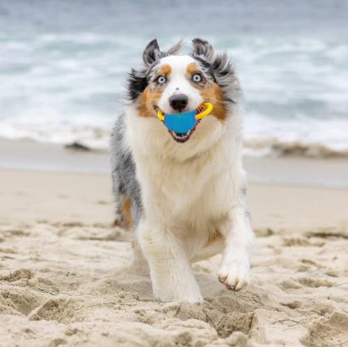 Project Hive Interactive Dog Toys - Set of 2 Looped Balls - Compatible with Hive Zoomer Dog Ball Thrower - Perfect for Fetch and Tug Play - Green and Blue