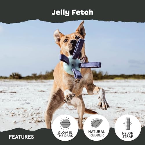 BarkBox Jelly Fetch Dog Toy - for Medium Dogs