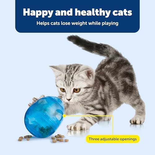 PetSafe Egg-Cersizer Interactive Cat Slow Feeder Toy | Kibble and Treat-Dispensing Cat Toy for Portion Control and Fast Eaters, Improves Digestion, Enrichment Exercise