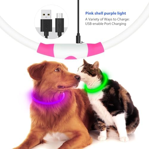 Flashseen LED Dog Collar, USB Rechargeable Glow Lighted up Collar, Purple