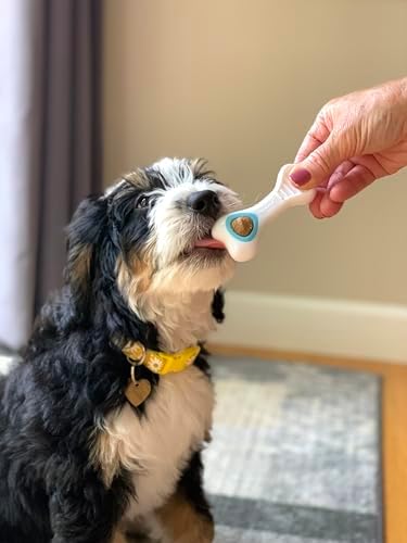 Nylabone Knuckle Bone Pop-in Treat Toy Puppy Chew Toy for Puppies, Interactive Treat Dispensing Enrichment Toys for Puppies, Long Lasting Chicken Flavor, X-Small Dogs - Up to 15 lbs (Pack of 2)