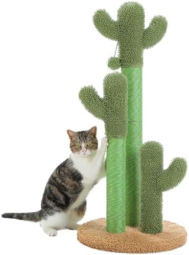 PAWZ Road Cactus Cat Scratching Post 35”Cat Scratcher with Toy Ball