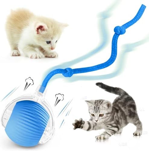 Interactive Cat Ball Toys for Indoor Cats, Upgraded Automatic Cat Toys for Bored Indoor Adult Kitty, Peppy Pet Ball for Cats, 360°Smart Rolling Kitty Balls Toy (Blue)