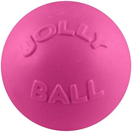 Jolly Pets Bounce-n-Play Dog Toy Ball, 8 Inches/Large, Blueberry, (Model: 2508 BB)
