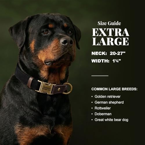 Personalized PU Leather Dog Collars,Quick Release Buckle,Black,XL