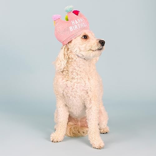 Fringe Studio Plush Dog Toy, If The Crown Fits, Pet Shop Collection (314209)