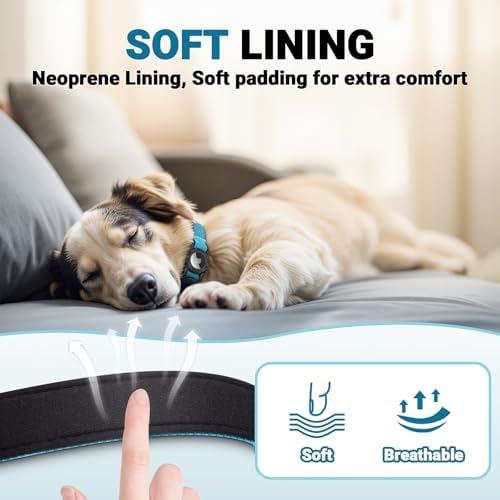 AirTag Dog Collar, IP68 Waterproof Integrated Air Tag Dog Collars