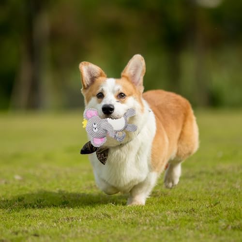 Cute Animals Interactive Dog Squeak Toys, Rope Plush Pet Chew Toys - Gray