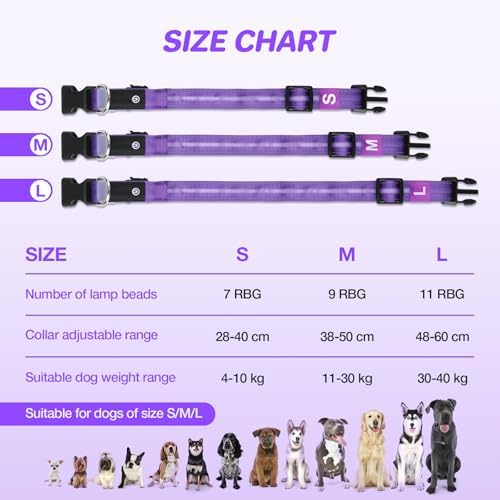 RUXAN Light Up Dog Collar,Dog Lights for Night Walking,LED Collars Waterproof,Glow Dog Collars Rechargeable,Glow in The Dark Dog Collar,Dog Collars Light for Small,Medium,Large Dogs (Small,Purple)