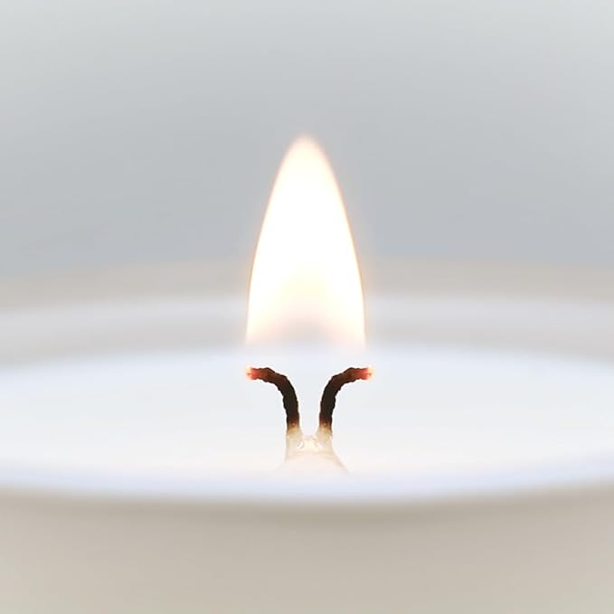 CUE Scented Candle |MoodBoost Essential Oils |OpenWick Clean Burning Candle | Soy Coconut Wax Blend | Candle for Home | Gift |Extended Burn Time (8.5oz, Dewy Aloe and Eucalyptus)