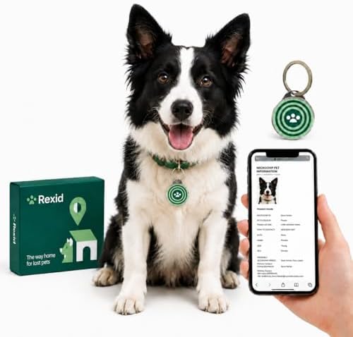 RexID Round Smart Dog Tag 20 Pack – QR Code ID Tag with Online Profile & Owner Contact – Anyone Anywhere Scan Instantly to Reunite – 1.18'' Lightweight & Noise-Free for Dog&Cat