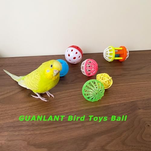 6Pcs Bird Ball Bell Toy Interactive Foraging Treat Feeder Parakeet Foot Toy