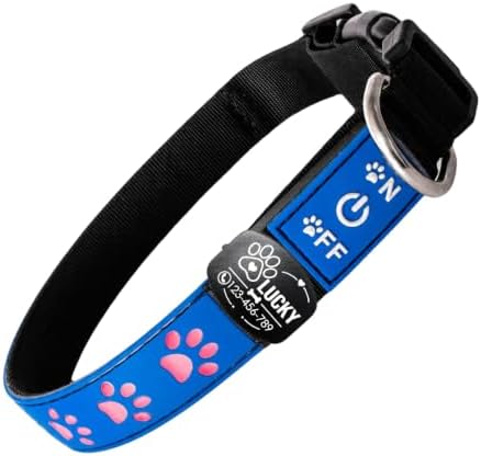 Personalized Light Up Dog Collar with Laser Engraved ID Tag