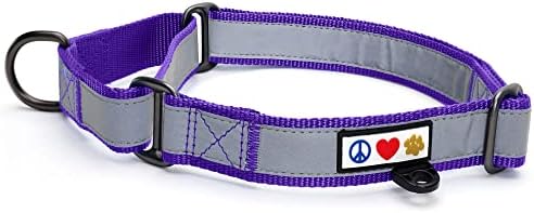 Pawtitas Purple Reflective Martingale Dog Collar, Medium