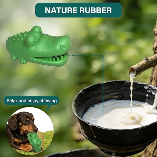Treat Dispensing Dog Toys for Medium & Large Dogs