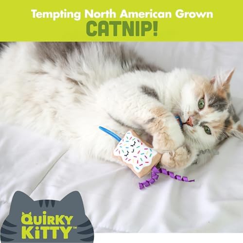 Quirky Kitty Flingin Purr Tarts Catnip Filled Interactive Cat Toys, 2 Pack