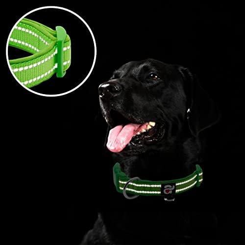 azuza Reflective Dog Collar, Neoprene Padded Small Dog Collar, Green, S