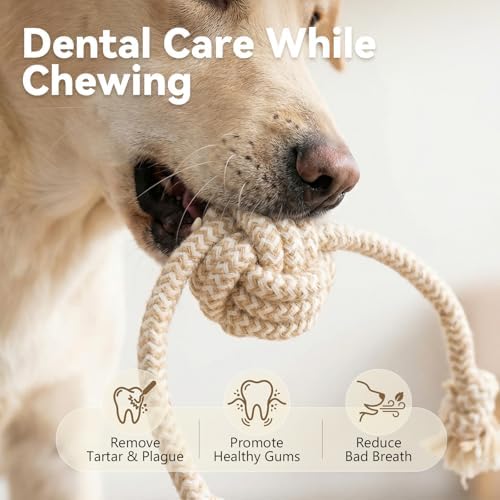 Puppy Chew Toys for Teething, Interactive Rope Toys for Small and Medium Dogs, Fun Chew Rope for Training, M Size