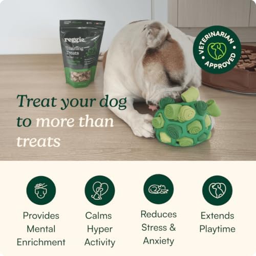 Reggie Snuffle Ball for Dogs | Interactive Treat Dispensing Dog Enrichment Toys | Reduces Boredom, Stress & Hyperactivity | Snuffle Toys for Dogs | Durable & Washable Dog Puzzle Toy I Green