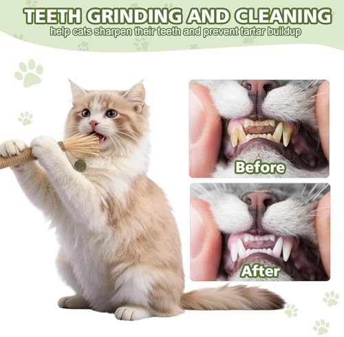 WOUSEDO 7 Pack Silvervine Sticks Cat Toy with Catnip & Matatabi Ball