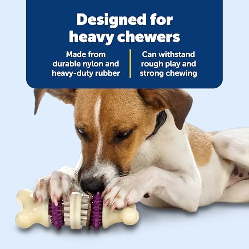 PetSafe Busy Buddy Bristle Bone Dog Treat Holding Chew Toy, Medium