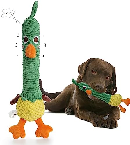 Nocciola 2 in 1 Easter Duck Dog Toy with a Large Rubber Squeaker - Tough Durable Stuffed Squeaky Crinkle Chew Toys for Aggressive Chewers, Medium and Large Breeds