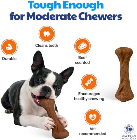 American Kennel Club Training Dog Chew Toy, Large PP Bone Dog Toy, Durable Dog Toy for Moderate Chewers, Beef Scented for Long-Lasting Engagement, Supports Dental Health, Natural