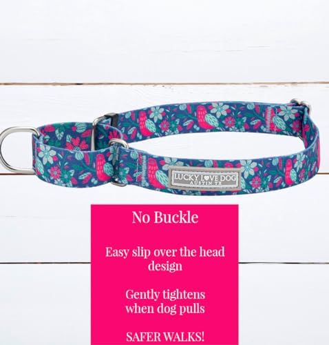Lucky Love Dog Martingale Collar for Small Dogs Cute – Carriebelle, Small