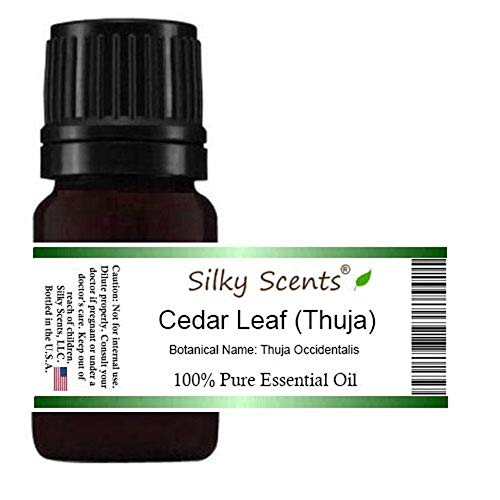 Cedar Leaf or White Cedar Essential Oil (Thuja Occidentalis) 100% Pure and Natural 1OZ30ML