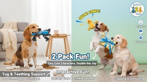 2 Pack Squeaky Dog Toys, Stuffed Animal Dog Plush Chewing Toy, Cotton Rope Interactive Toys for Puppy, Small, Middle Dogs (Donkey+ Chicken)