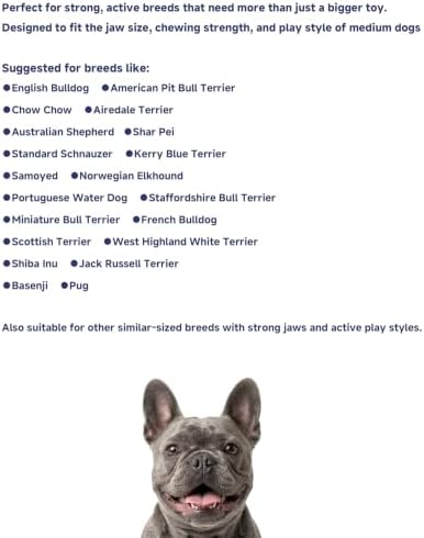 Stuffable Enrichment Dog Toy – Extra Firm Natural Rubber Treat Dispenser for Medium Dogs, Irregular Shape, Blue, Bully Stick Compatible