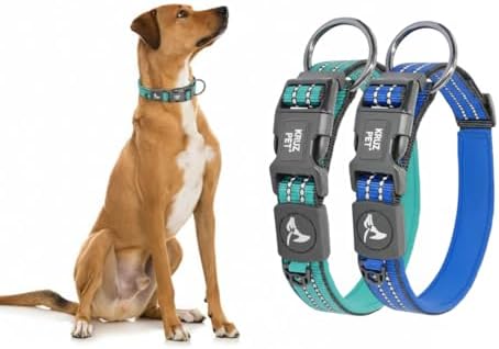 Dog Collar Bundle | Includes Large Blue (Width- 1", Length - 21"-25") & Turquoise, X-Large (Width- 1", Length - 25"-27.5") | Adjustable Padded with Heavy Duty O-Ring | Soft & Comfortable Fit