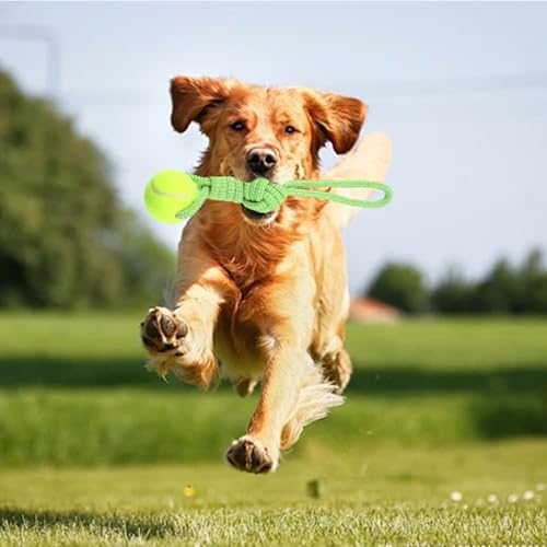 Dog Rope Toy Tug Outdoor Puppy Interactive Dog Toy 1 Knot with Tennis Ball