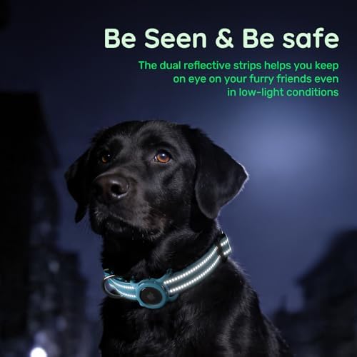 Reflective Dog Collar with AirTag Holder, Waterproof Dog Collar with QR Code, Heavy Duty Adjustable Pet Collar for Small Medium Large Dogs, Blue