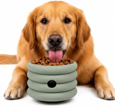 Should We Go? Interactive Dog Enrichment Toy with Freezer Plug, BPA-Free Silicone Puzzle Dog Freeze Bowl & Treat Dispenser for Mental Stimulation, Ideal for Kibble & Frozen Licks, Fits 17 oz, Large
