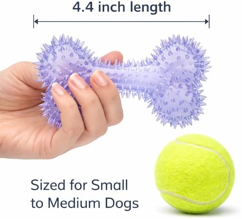 Squeaky Spiky Dog Bone Toy for Teeth Cleaning & Gum Massage 4.4 Inch Small Medium Dogs Purple | Spiny TPR Rubber Chew Toy for Fetch Play Interactive Bouncy Dental Bone Durable BPA Free Nontoxic Floats