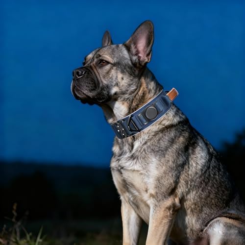 2" Tactical Dog Collar with Airtag Holder & Handle for Medium Dogs (Blue)