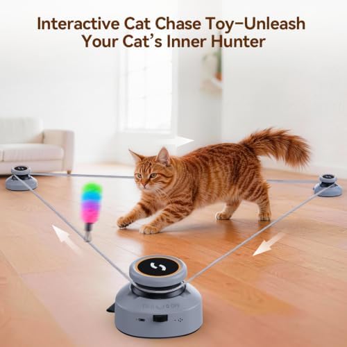 Jripae Automatic Interactive Cat Toys for Indoor Cats with DIY Chase Track